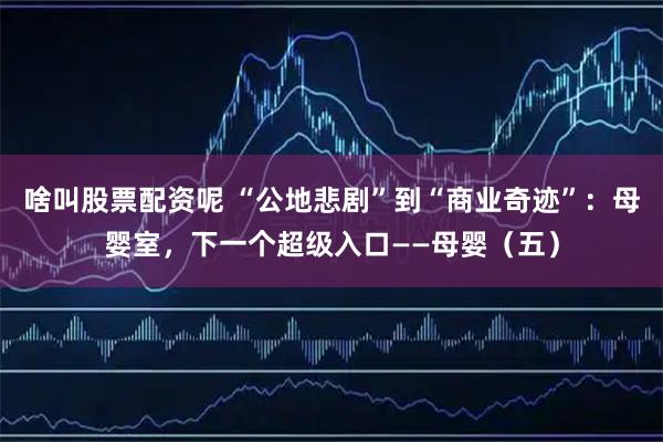 啥叫股票配资呢 “公地悲剧”到“商业奇迹”：母婴室，下一个超级入口——母婴（五）